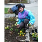 April 2012 Frühjahrspflanzung Dorfplatz